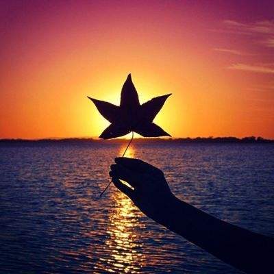 盈彩网下载手机版