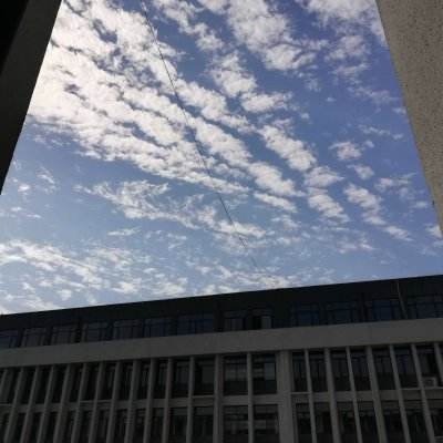 星空下载站官网截图